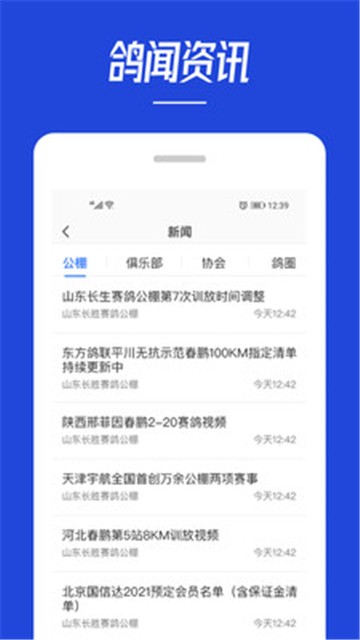 青鸽网