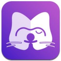 猫咛生活极速版
