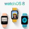 watchos 8 beta正式版