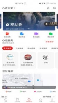 心道网趴手机版