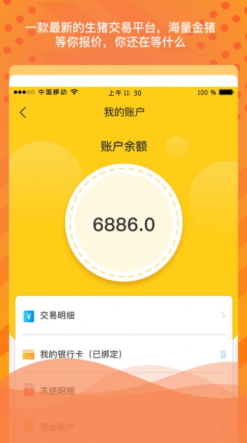 金猪岛app
