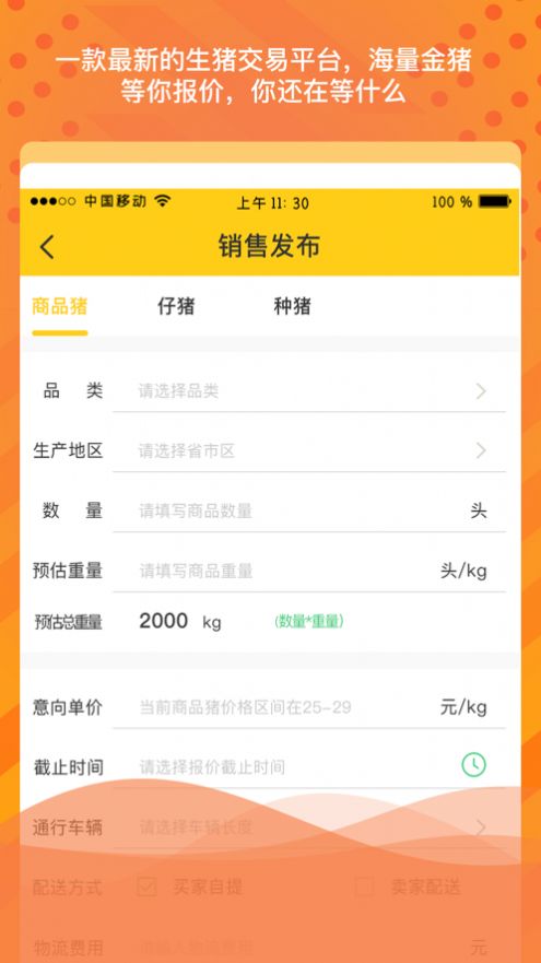 金猪岛app