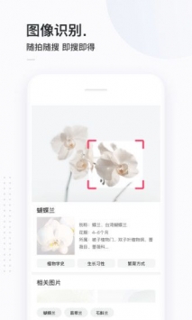 简单搜索最新版