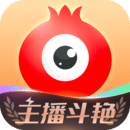 石榴 app网址进入