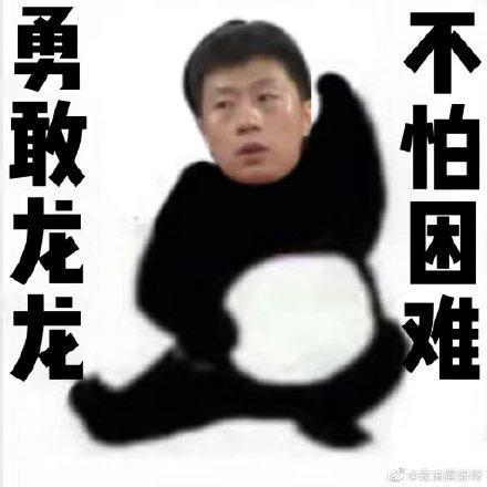 可爱龙龙不怕困难表情包