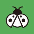 码虫刷题app