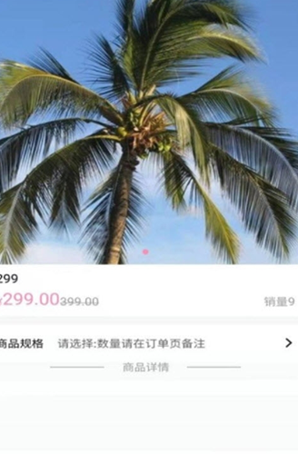 布吉岛app