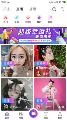 飞树直播平台