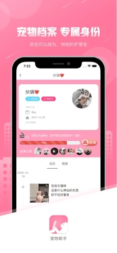 宠物助手pet