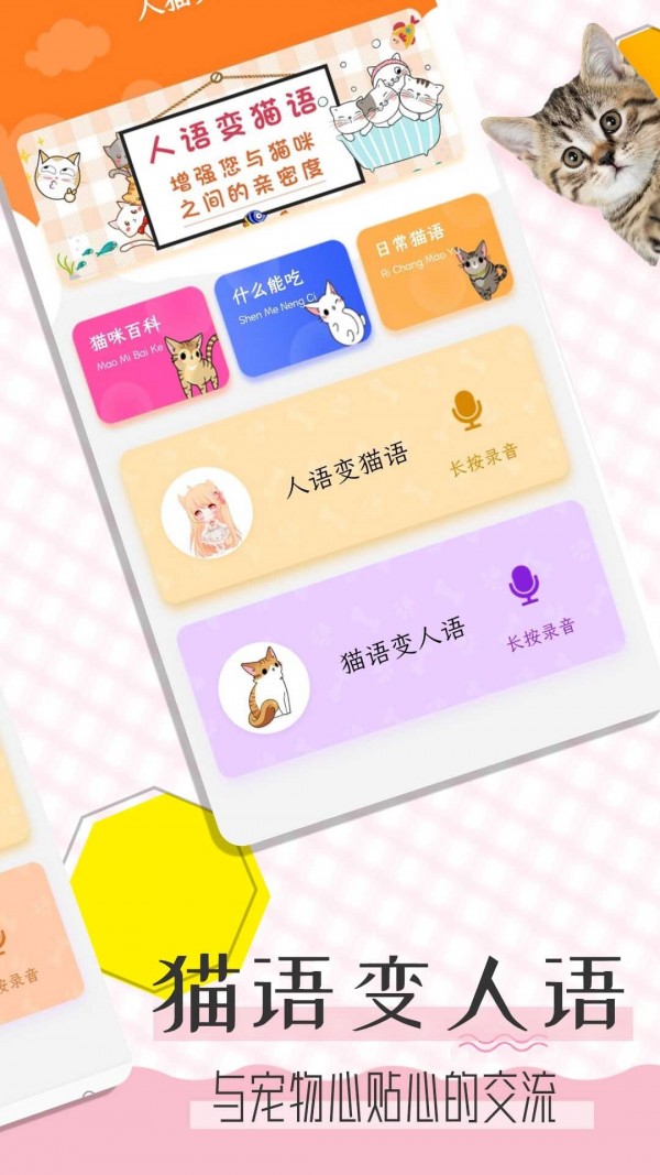 猫语翻译宝app最新版
