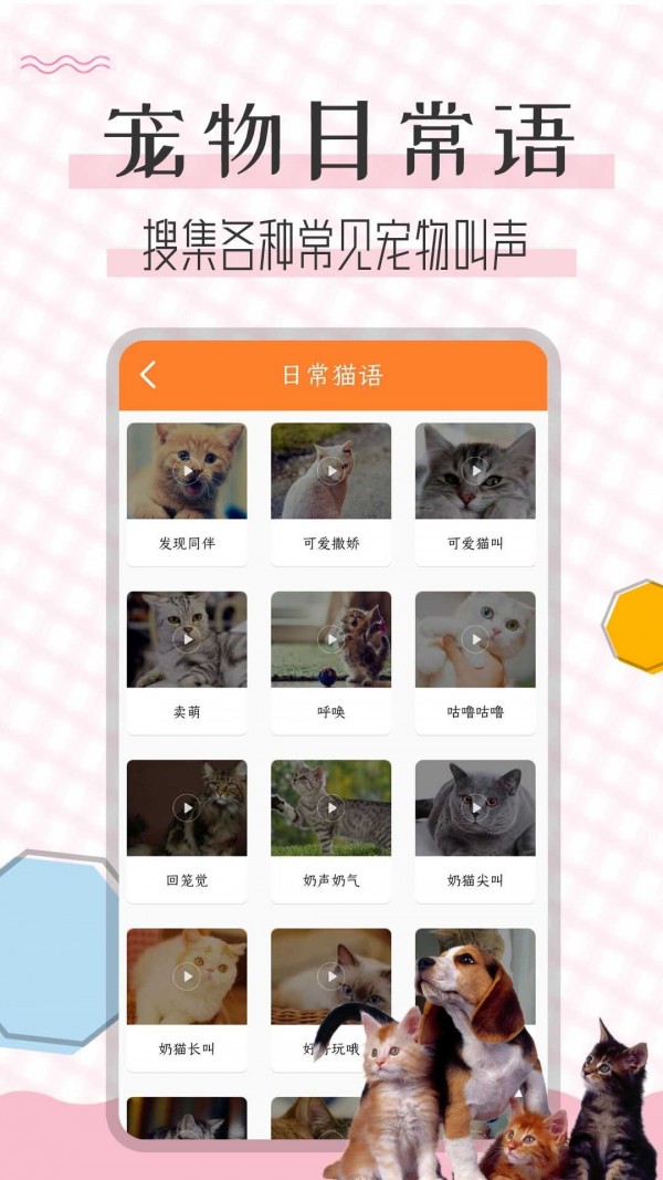 猫语翻译宝app最新版