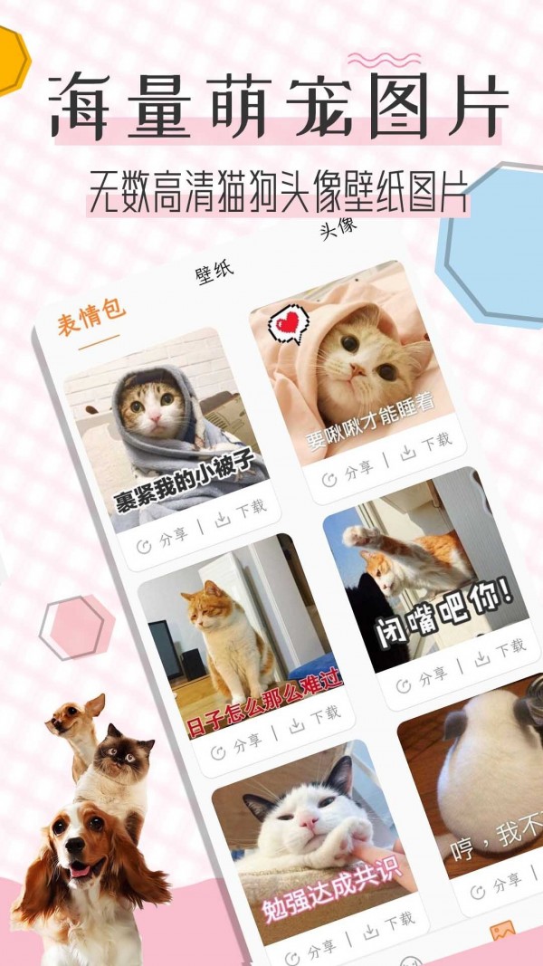 猫语翻译宝app最新版