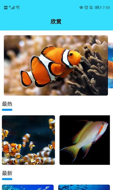 我爱养鱼