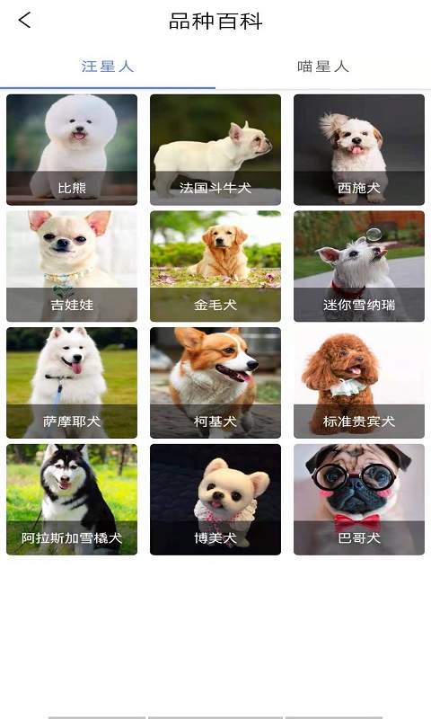 优宠快报app