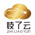 吱了云 