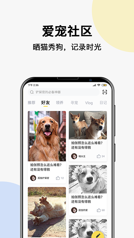 宠可可社区