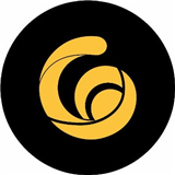 raca币上交易所