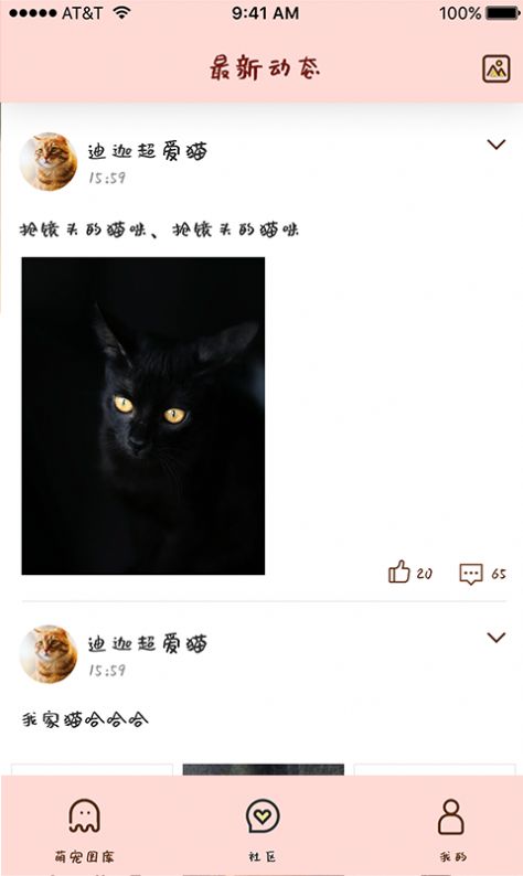 喵喵撸猫app