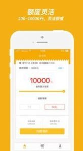小孔雀app