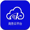 数智商务 
