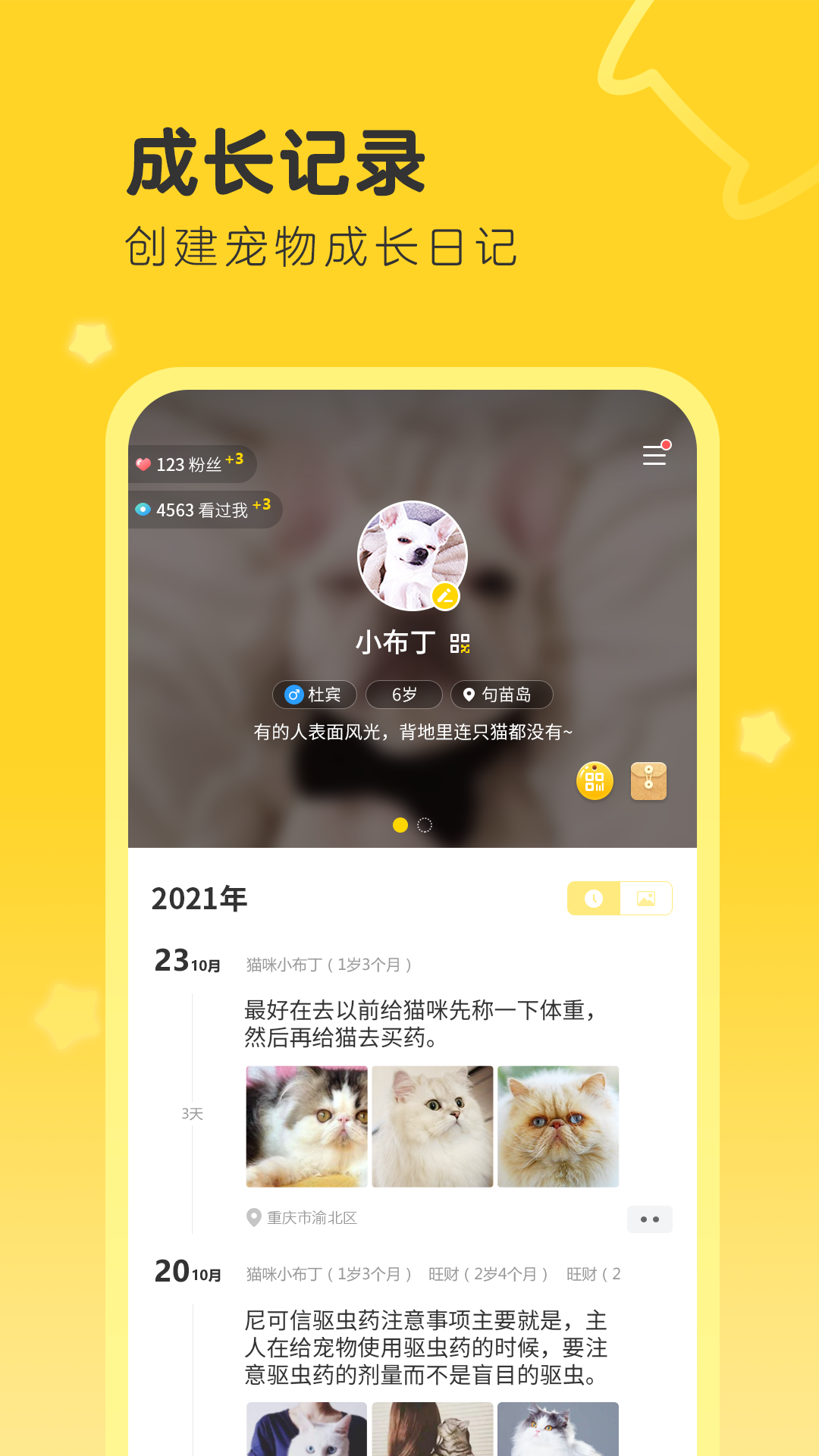 句苗岛最新版