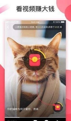 叮当视频红包版