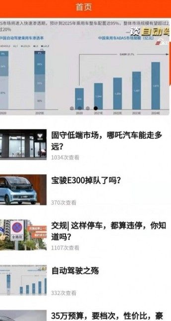 珊瑚树