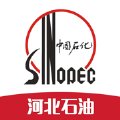 油惠通4.28
