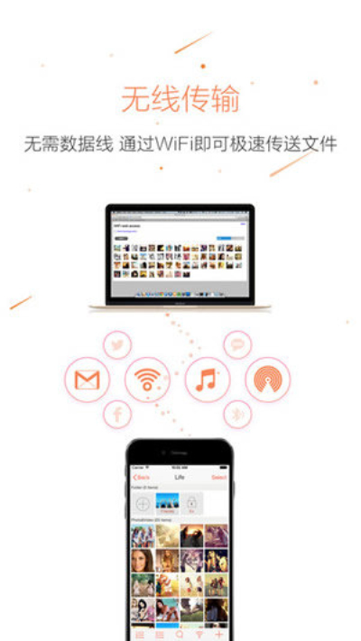 小蝌蚪 下载大全