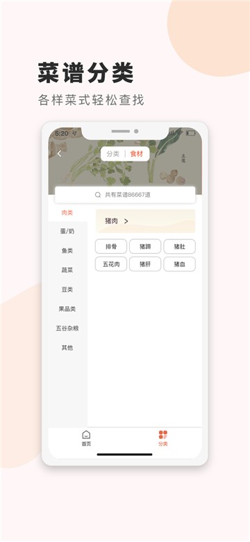 食谱大全菜谱