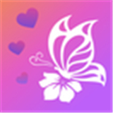 凤蝶直播565