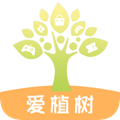爱植树 