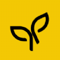 伊得app