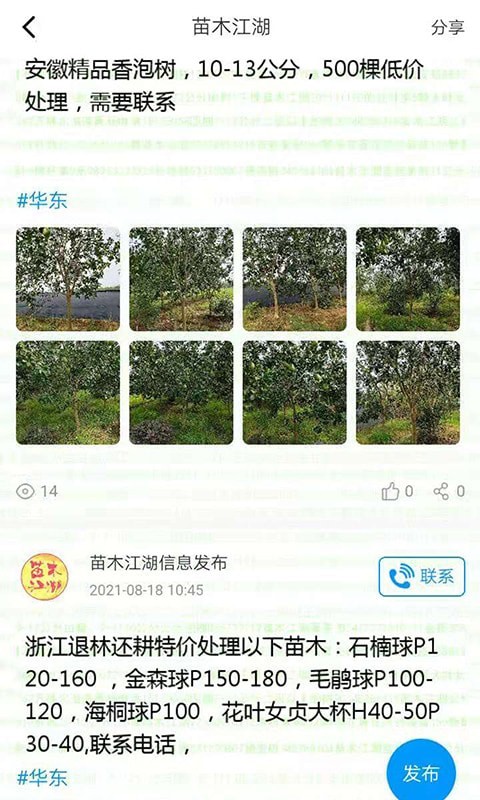 苗木江湖