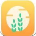 泰木生活app