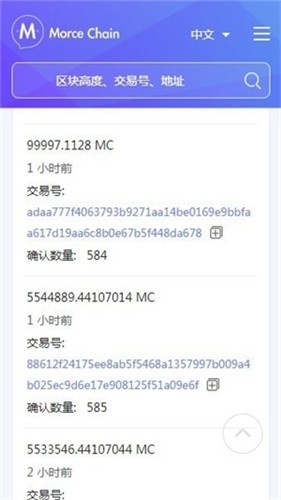 morce交易所
