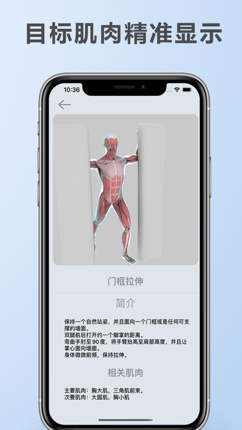 拉伸解剖