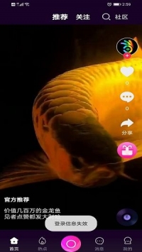 掌上宝短视频最新版