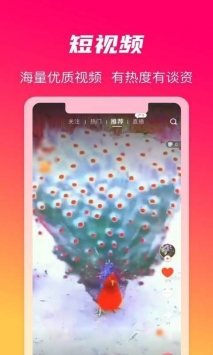 火晶星球破解版