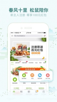 三只松鼠年货版