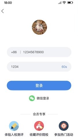1847国际教育