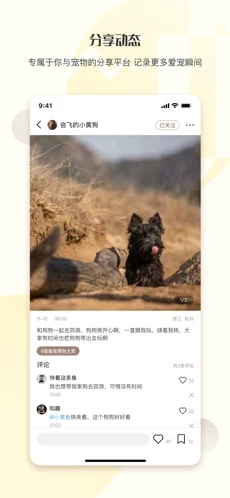 集宠区