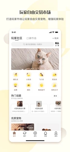 集宠区