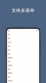 光氪全屏翻译平台
