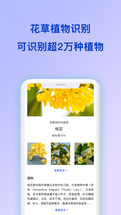 扫描识图