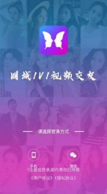 迷蝶app