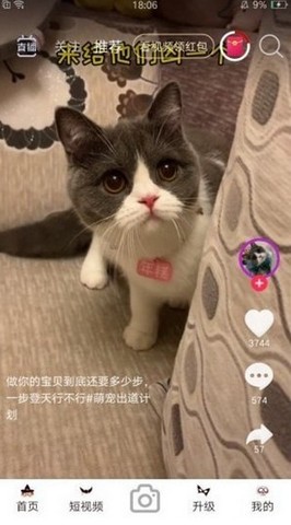 艾草研究所