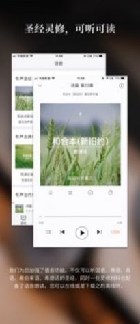 微读圣经鸽子版中文版