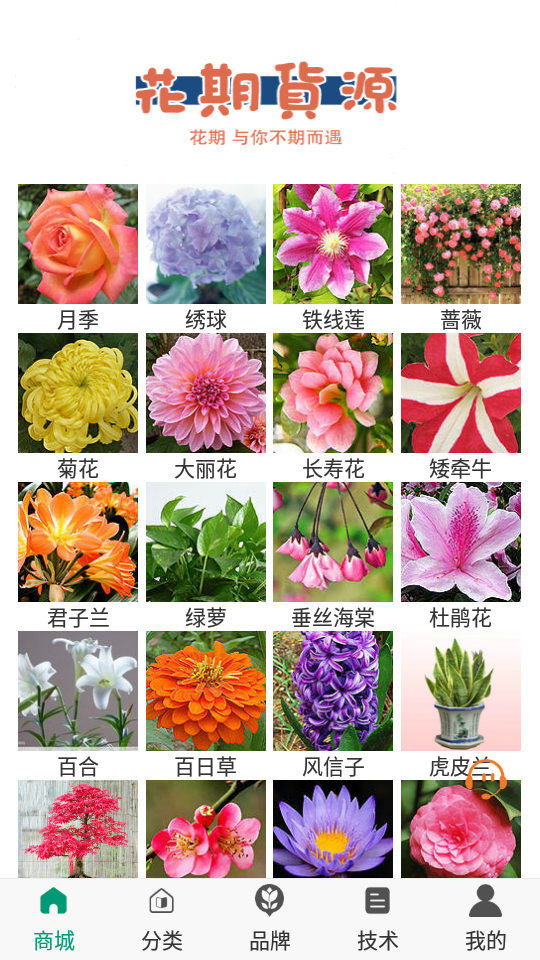 花期货源