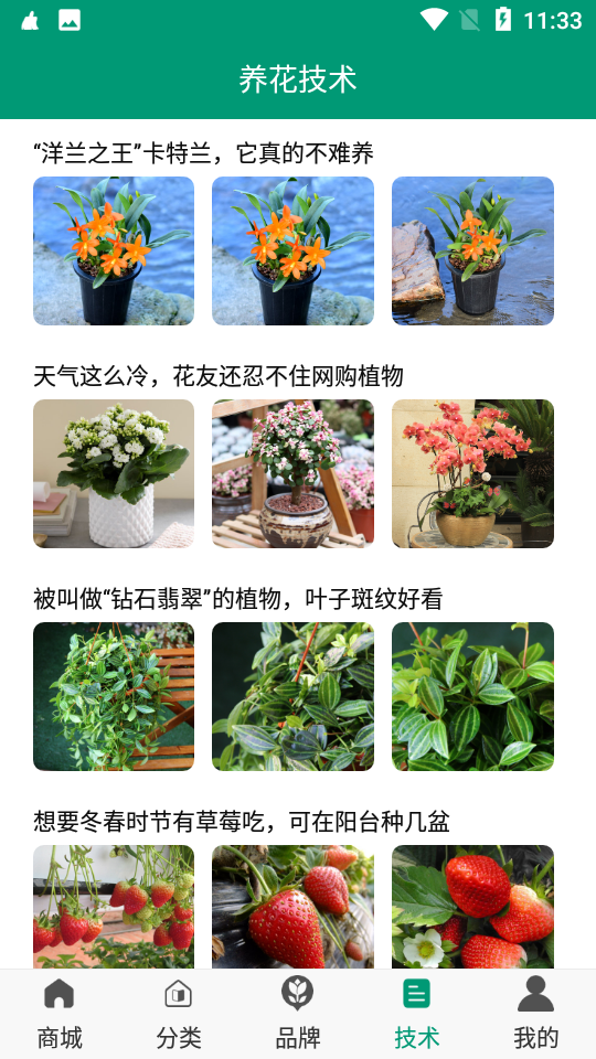 花期货源